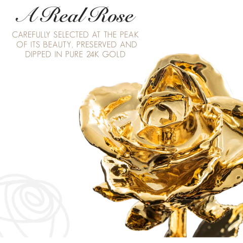 Rose Hand Dipped in 24K Gold