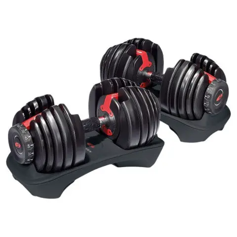 hidden gift BowFlex: Weight-Adjustable Dumbbells
