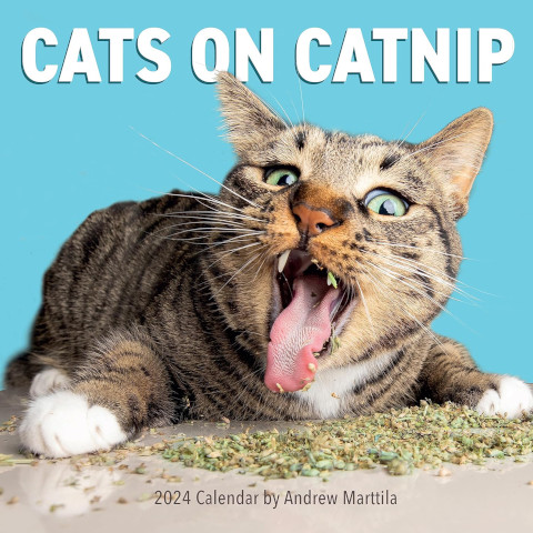 Cats on Catnip Wall Calendar