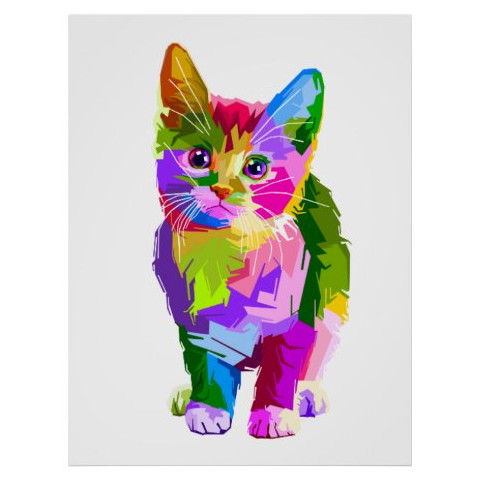Colorful Kitten Artwork