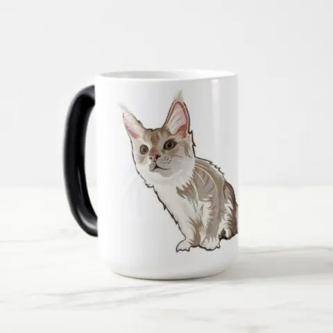 hidden gift Coffee Mug w/ Your Custom Image