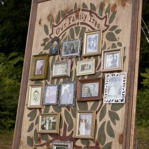 Create a DIY Family Tree