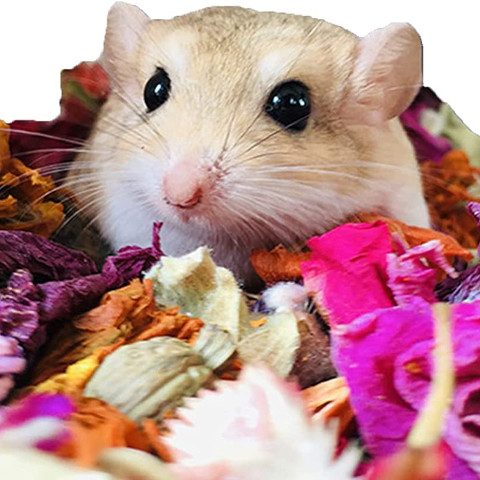 Dried Flower Bouquet Bedding 