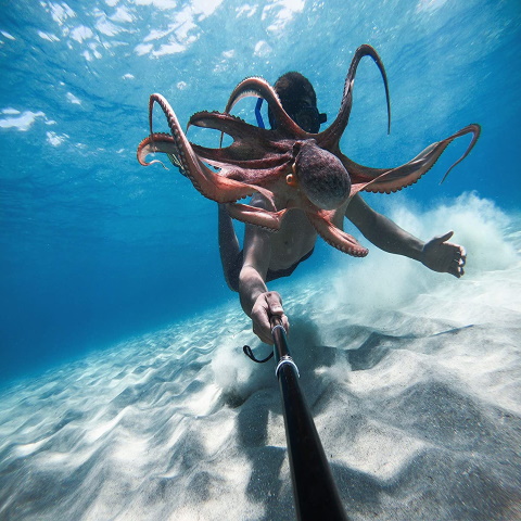 GoPro Hero - Waterproof Action Camera