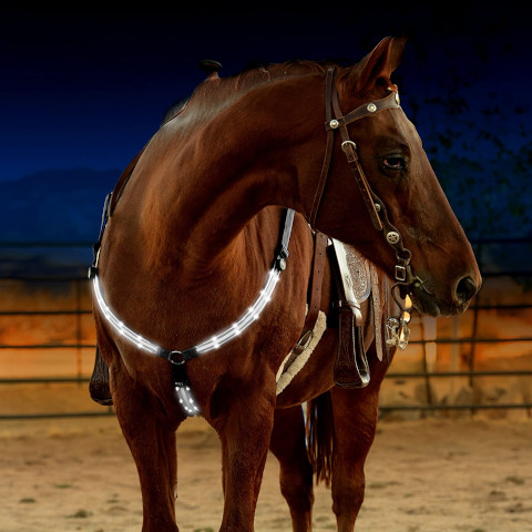 Hi-Viz Equestrian Safety Gear
