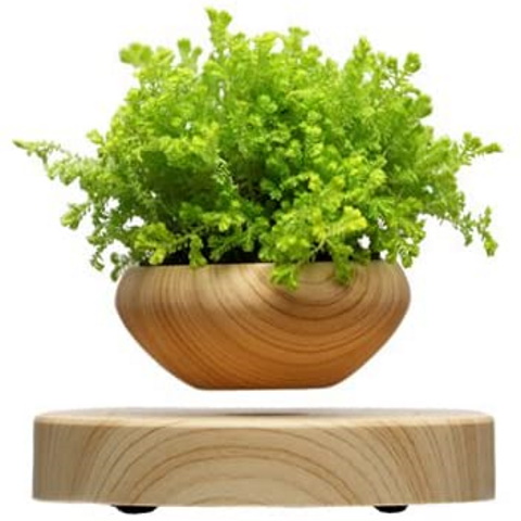 Levitating Bonsai