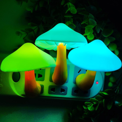 Plug and Glow Mini Magic Mushrooms