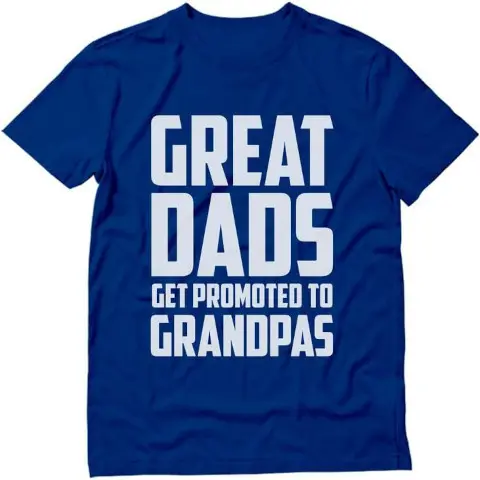 hidden gift Great Dad's Get Promoted to Granddads T-Shirt