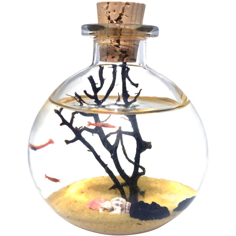 Shrimp Bubble Ecosystem Kit