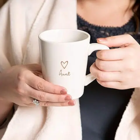 hidden gift Aunt Appreciation Mug