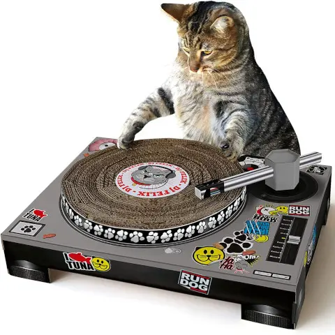 hidden gift Cat Scratcher DJ Deck