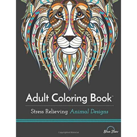 Intricate Adult Coloring Book