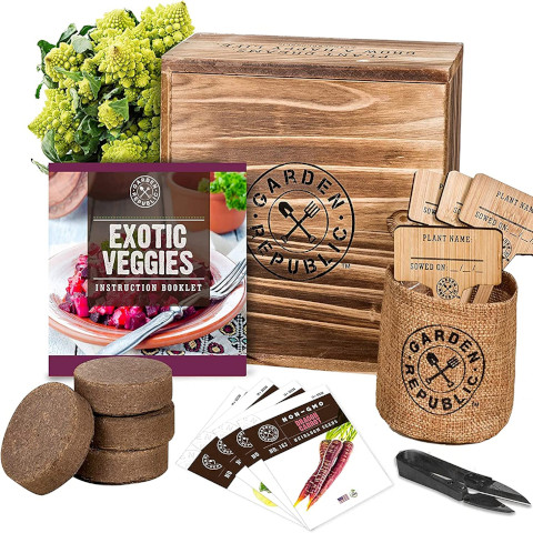 Indoor Vegetable Garden Starter Kit