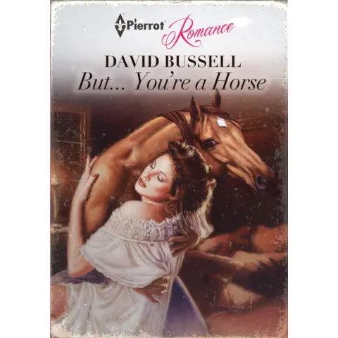 hidden gift But... You're a Horse - A Romantic Novella