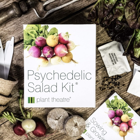 Psychedelic Salad Kit